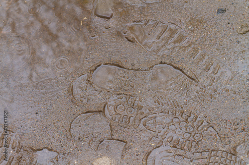 Foto Puddles and footprints on the ground in the rain