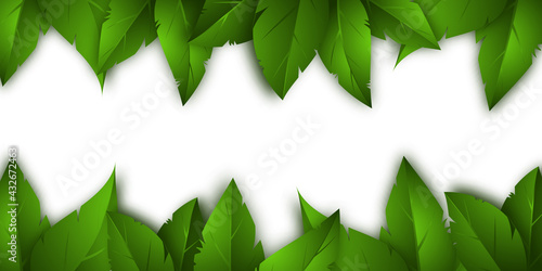 Realistic spring or summer green leaves cast a beautiful shadow. Isolated foliage on a white background. Vector illustration