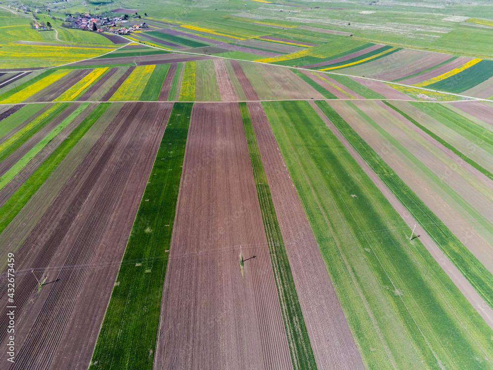 Aerial drone view, agricultural field, green and yellow parcels for agricultural background, small hungarian village .
