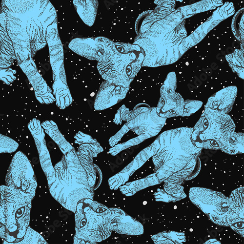 Sphynx Cosmic Kittens Cats in Space. Vector