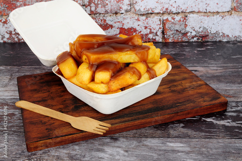 Εκτύπωση καμβά Chips and gravy meal in a take away box with lid