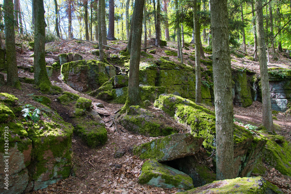 Fototapeta premium Table des Druides in den Vogesen in Frankreich