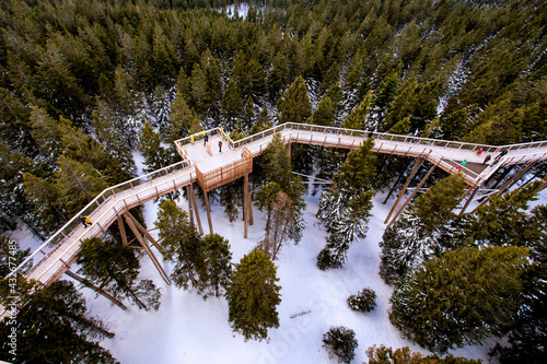 Walking through treetops - aerial view