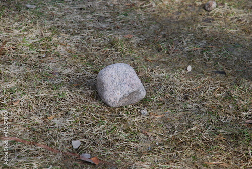 A granite cobblestone lies on a lawn made from last year's grass. Spring day on the ground on the old yellow grass there is a small granite stone of light gray color.