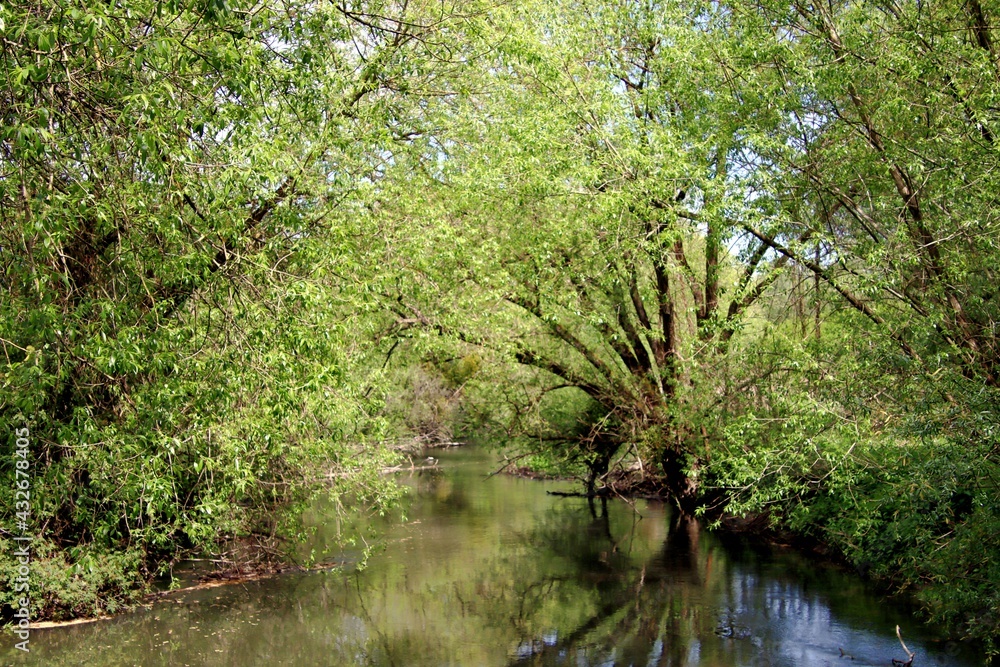 Fototapeta premium ruisseau_