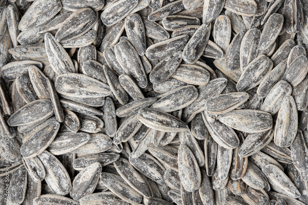 Pile of salted and roasted sunflower seeds