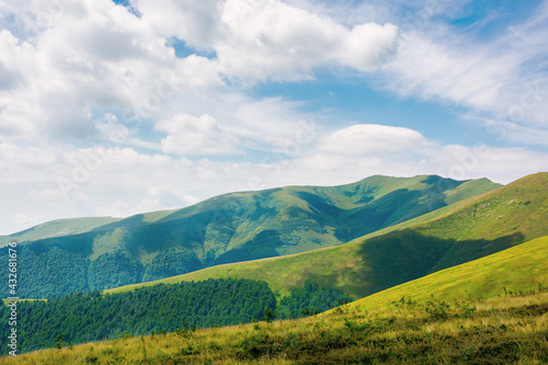 grassy hills and meadows of borzhava mountain ridge. beautiful landscape in summer on a sunny day with clouds on the sky