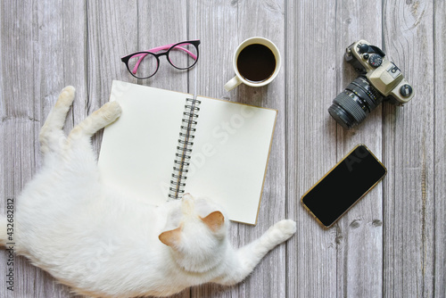 Still life, business or traveler memo concept, Top view image of open notebook with vintage camera coffee smartphone and cat disturb with blank pages on old brown wooden background