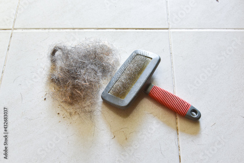 Big pile of dog hair and which brush to comb out the dog on floor, Bunch of dog hair after grooming, Shedding tool, Hair combed from the dog with brush, top view