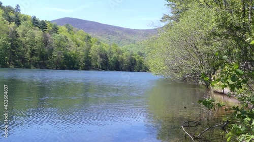 Georgia Vogel Park Springtime  A Pan left to right across Lake Trahlyta with trees along the shore photo