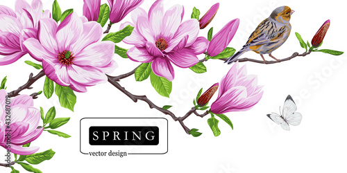 Spring greeting card with magnolia flowers