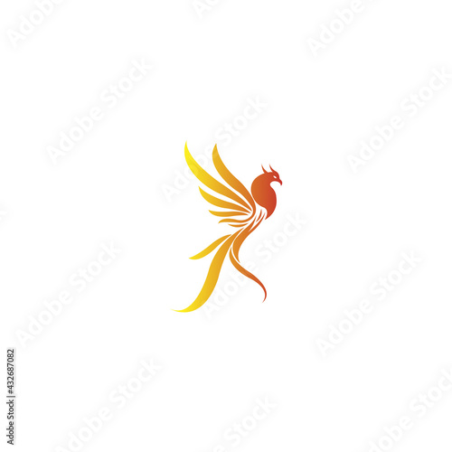 luxury phoenix logo vector. Creative Phoenix bird logo vector design illustration
