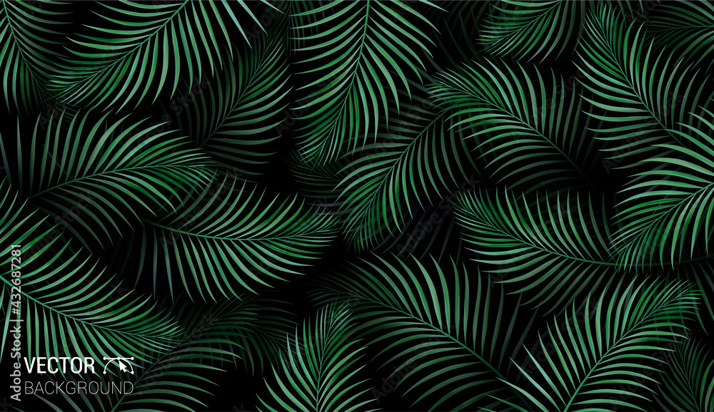 Summer botanical exotic pattern with green palm tropical leaves on dark. Vector on a black background. Design for cosmetics spa medical products travel company.