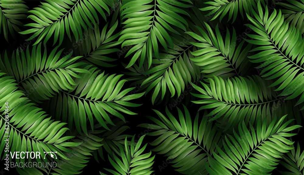 Summer botanical exotic pattern with green palm tropical leaves on dark. Design for cosmetics spa medical products travel company. Vector on a black background. Summer botanical exotic pattern with green palm tropical leaves on dark. Design for cosmetics spa medical products travel company. Vector on a black background.
