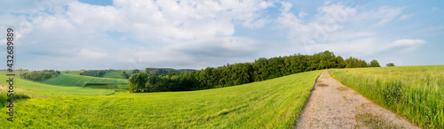 dirt road passing through a green wheat field