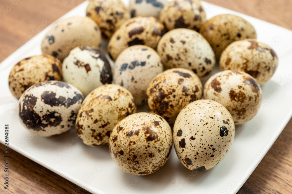 Fresh small spotted partridge eggs on white board Fresh small spotted partridge eggs on white board