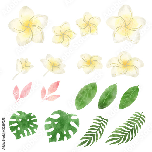 水彩風プルメリアとボタニカルリーフのトロピカルなイラストパーツセット