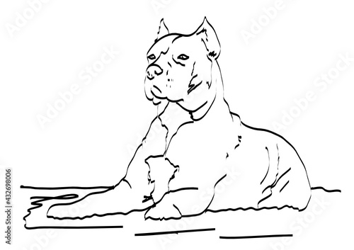 illustration of a dog