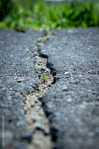 asphalt road, asphalt texture, cracked asphalt texture