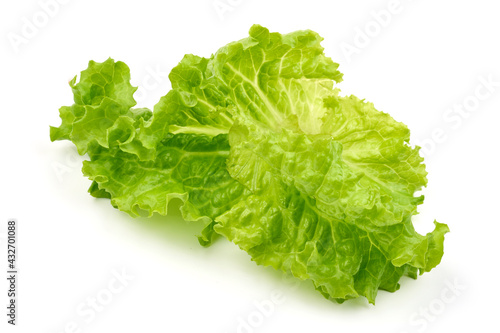 Lettuce Salad leaf, isolated on white background. High resolution image