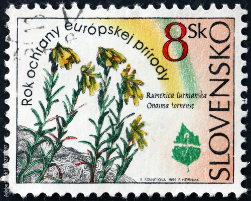 Postage stamp Slovakia 1995 onosma tornense, flowering plant photo