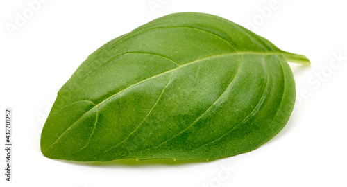 Basil leaves  isolated on a white background. High resolution image