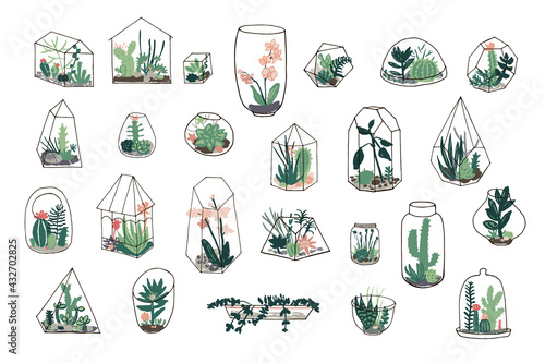florarium with plants vector illustrations set