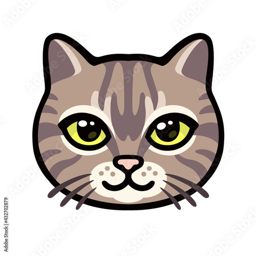 Obraz na plátně Cartoon tabby cat face