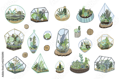 florarium with plants vector illustrations set