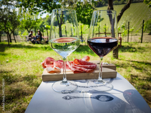 Two glasses of wine and typical cold cuts served on a wooden cutting board, salami plate from Chianti, Tuscany. Selection of ham, salami, sausage photo