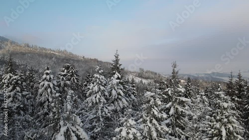 Scenic aerial view of Carpathian mountains in winter