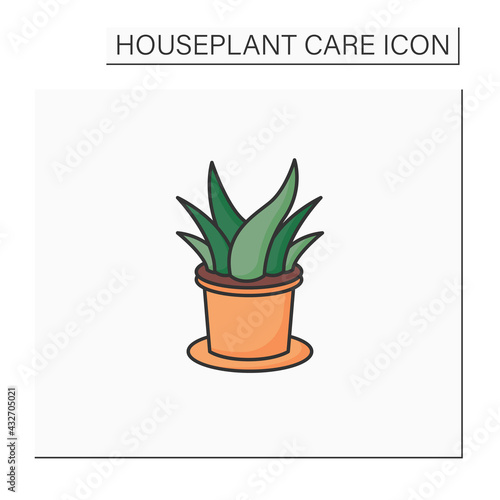 Aloe vera color icon.Perennial evergreen plant-xerophyte.Used in medicine, perfumery and cosmetology. Beautiful home plant in pot. Houseplant care concept.Isolated vector illustration