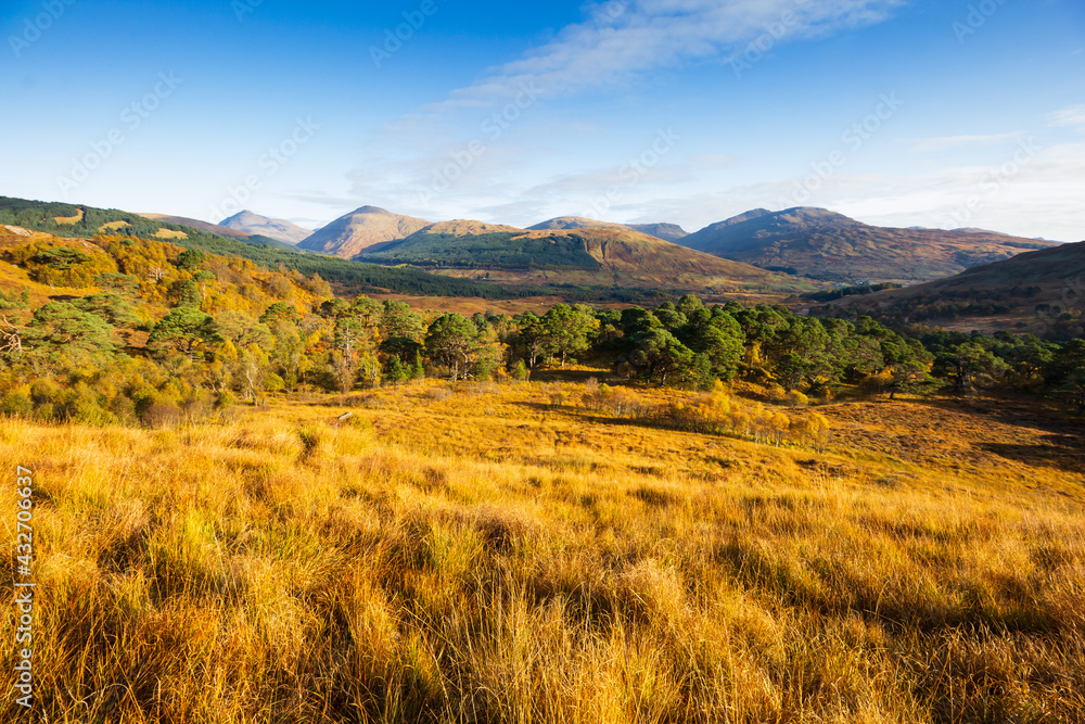 The Scottish Highlands in autumnal light The Scottish Highlands in autumnal light