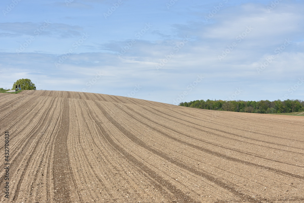 Agricultural field ploughed in spring. Arable land ready for the next cultivation season. The field is on slight slope with trees on the horizon and lightly overcast sky on background.