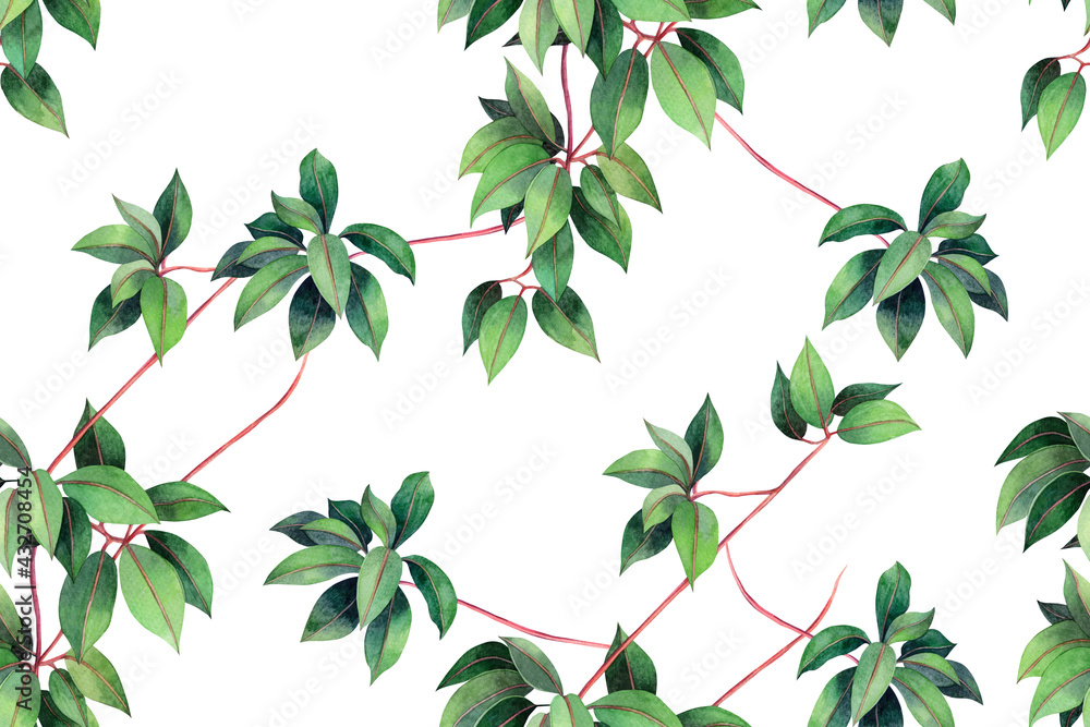 Watercolor painting ivy green leave seamless pattern background.Watercolor hand drawn illustration tropical exotic leaf prints for wallpaper,textile Hawaii aloha jungle pattern.