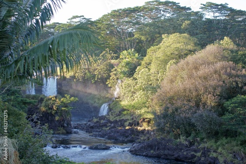 waterfall in jungle