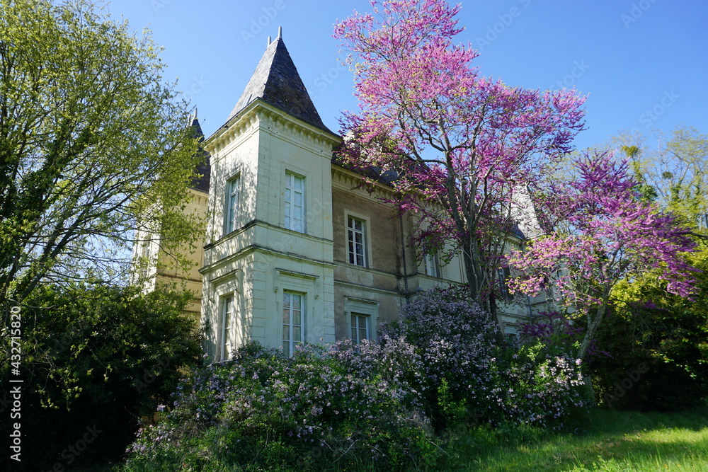 old small limestone castle in the park with pink and purple blooming trees in the Loire valley, France old small limestone castle in the park with pink and purple blooming trees in the Loire valley, France