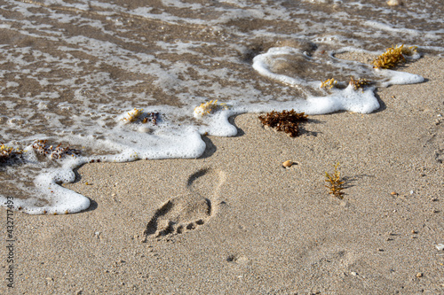Photography Surf washing away footprints in sand
