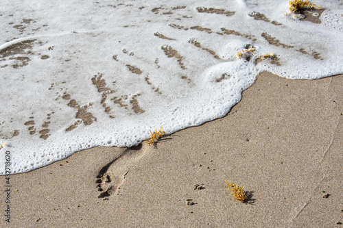 Surf washing away footprints in sand