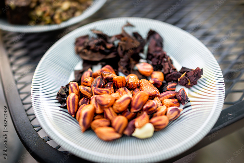Macro closeup of snack on plate with colorful orange raw jungle wild peanuts nuts and dulse seaweed on metal table with bokeh background Macro closeup of snack on plate with colorful orange raw jungle wild peanuts nuts and dulse seaweed on metal table with bokeh background