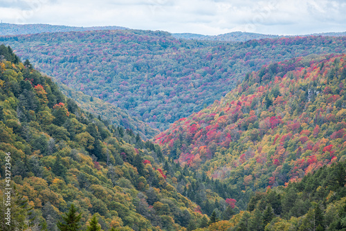 Colorful Allegheny mountains in autumn fall season with multicolored red and yellow foliage at Lindy Point overlook in Blackwater Falls State Park in West Virginia, USA photo