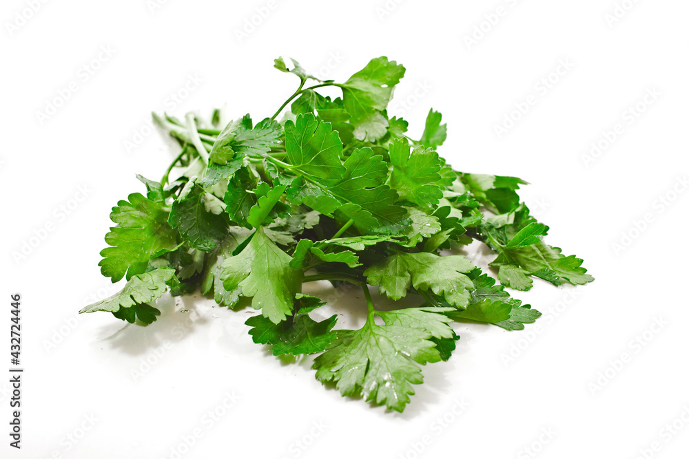 Fototapeta premium Fresh parsley leaves isolated on a white background.