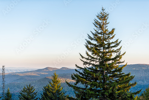 High angle aerial view on West Virginia mountains overlook in autumn and one pine tree foliage in morning sunrise or sunset sunlight at Highland scenic highway photo