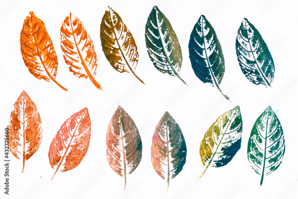 Leaf prints on a white background. Leaf prints on a white background.