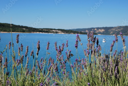 Lac de Sainte Croix-Provence-Alpes-C  te d Azur