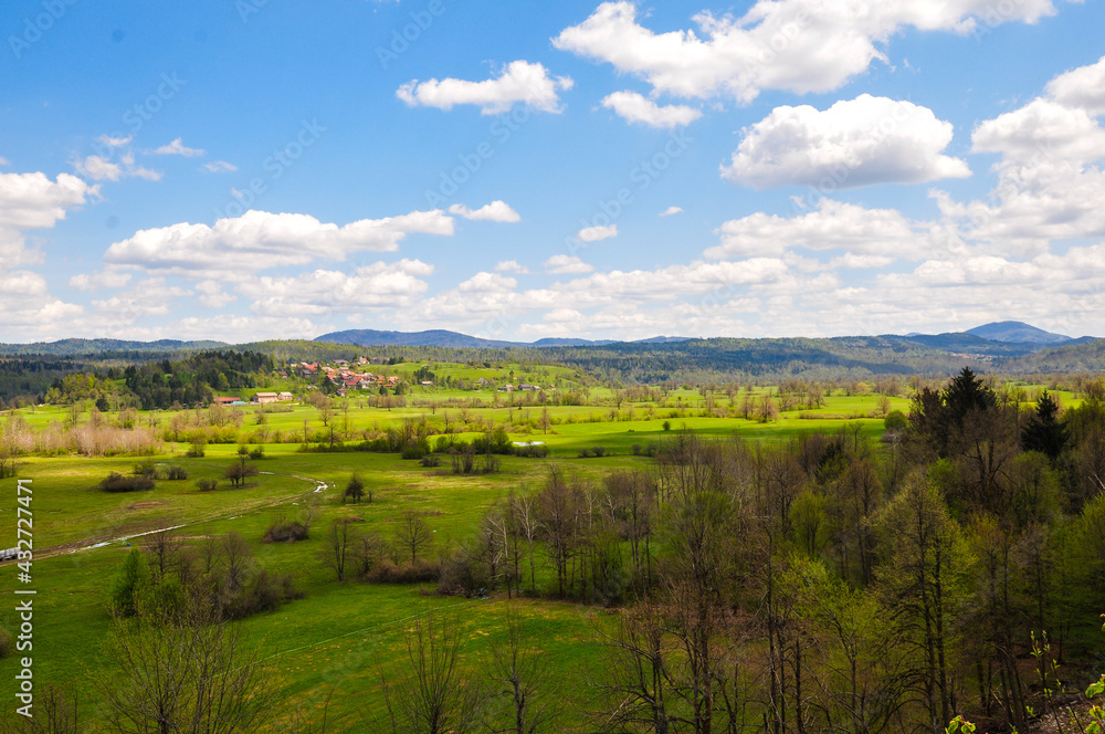 Green landscape with blue cloudy sky in Slovenia, summer.