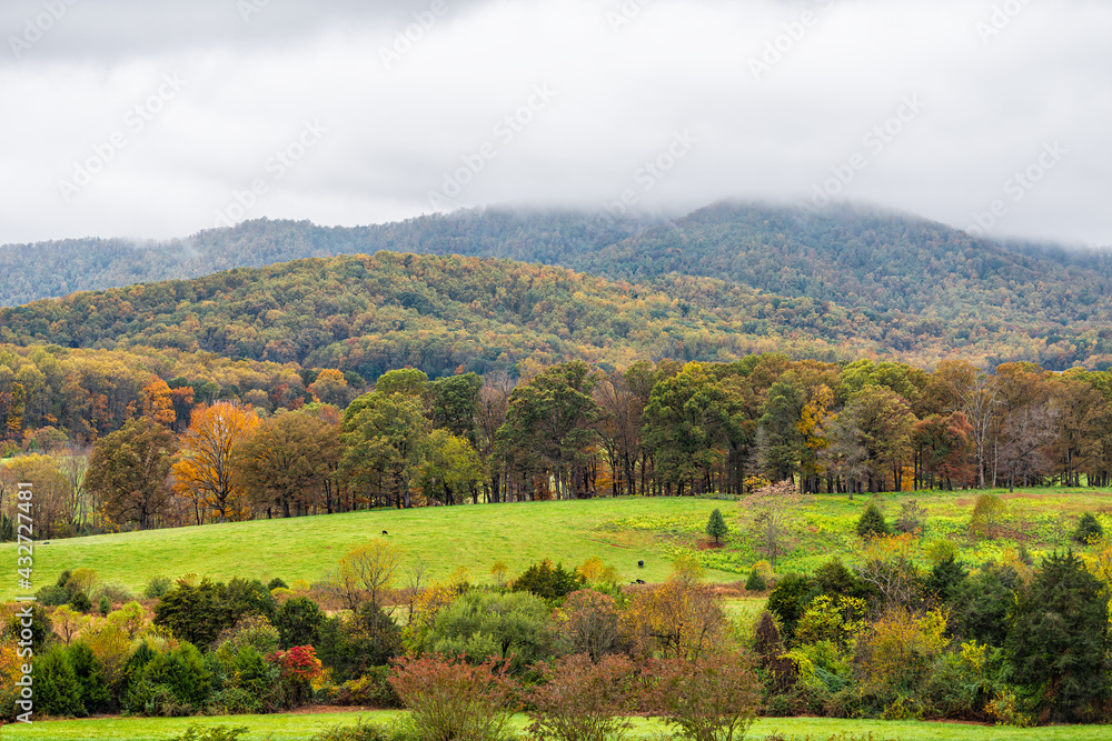 Rural countryside rolling hills mountains land property in Albemarle county, Virginia in autumn with colorful fall trees foliage in cloudy fog weather