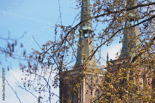 Wieży katedry na Ostrowie Tumskim we Wrocławiu na tle drzewa wiosną, Polska photo