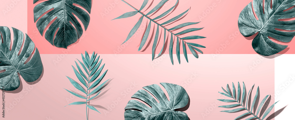Tropical palm leaves from above Tropical palm leaves from above