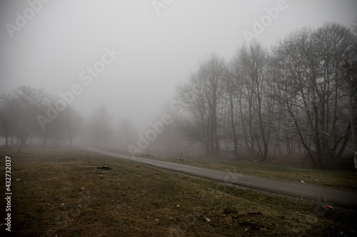 Landscape with beautiful fog in forest on hill or Trail through a mysterious winter forest with autumn leaves on the ground. Road through a winter forest. Magical atmosphere. Azerbaijan nature